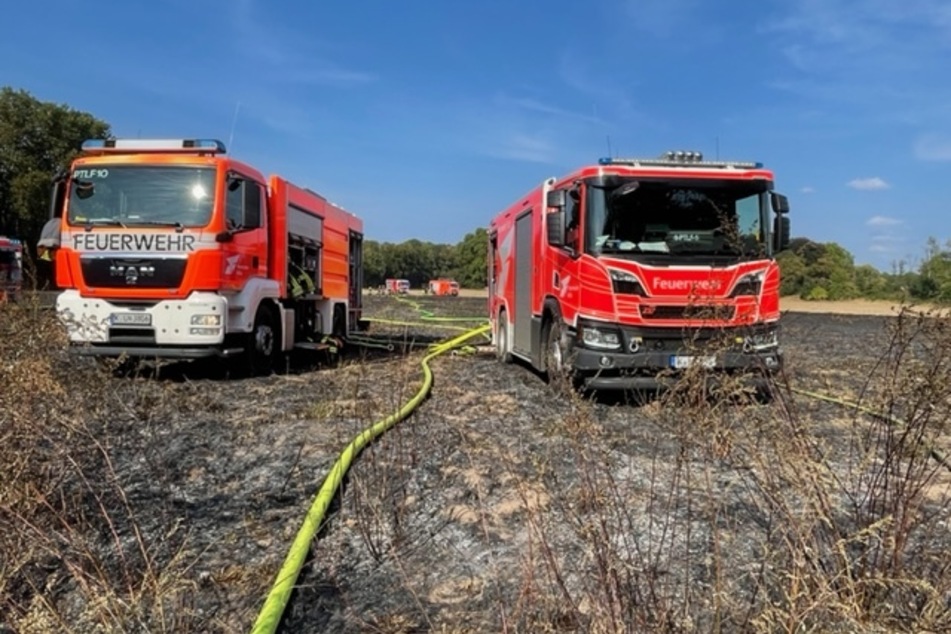 Die Feuerwehr rückte mit zahlreichen Kräften zum Brand am Waldrand aus.