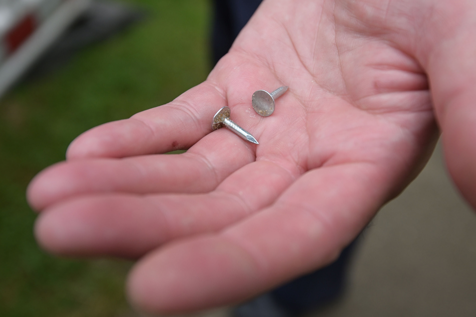 Diese spitzen Nägel wurden zuhauf auf dem Spielplatz-Areal gefunden.