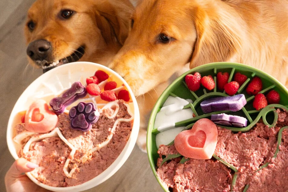 Thousands of Dog Owners Are Switching to Raw Food and Never Looking Back - Here's why