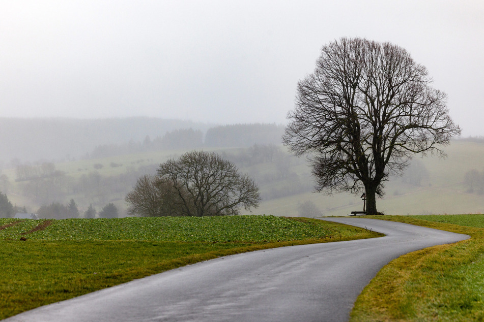 Vom Winter keine Spur: Nebel und Nieselregen prägen die Landschaft am Schwarzatal im Landkreis Saalfeld-Rudolstadt.