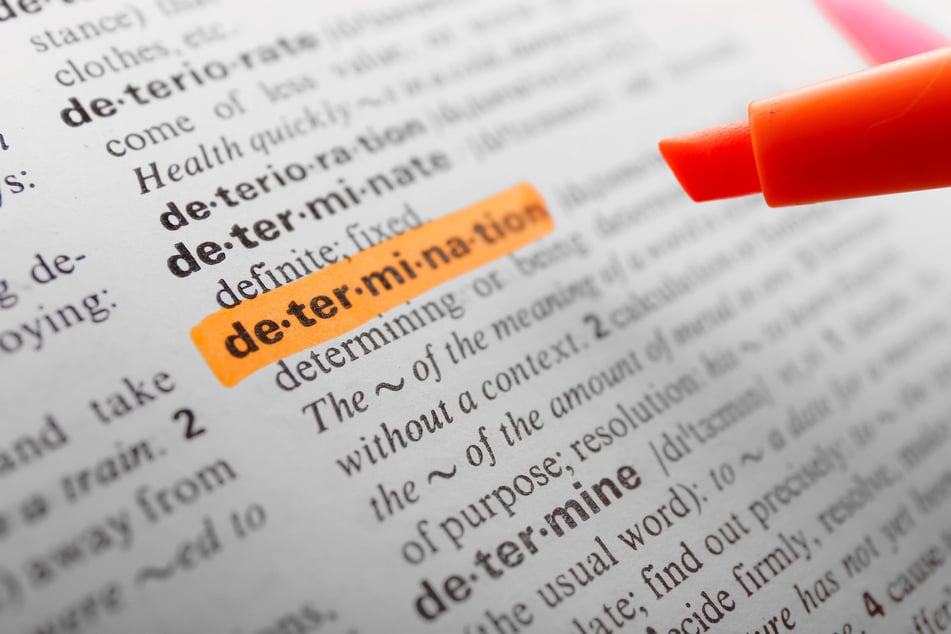 Die längsten Wörter der Welt stehen nicht unbedingt im Wörterbuch. (Symbolbild)