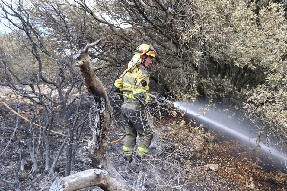 Ein Großaufgebot der Feuerwehr war in Jerichow im Einsatz, um einen Waldbrand zu löschen. (Symbolbild)
