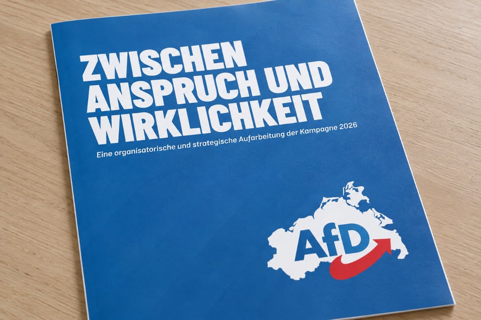 Geleaktes Papier: Warum die AfD intern mit sich selbst hadert
