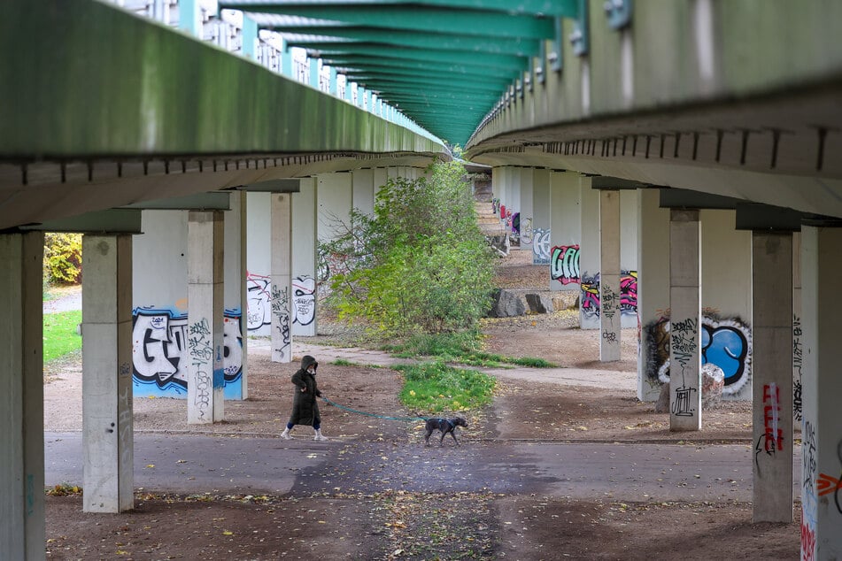 Die Brücke der Bundesstraße 2 über den Agra-Park ist eine von 19 Brücken in Sachsen, denen ein ähnliches Schicksal wie der Dresdner Carolabrücke drohen könnte.