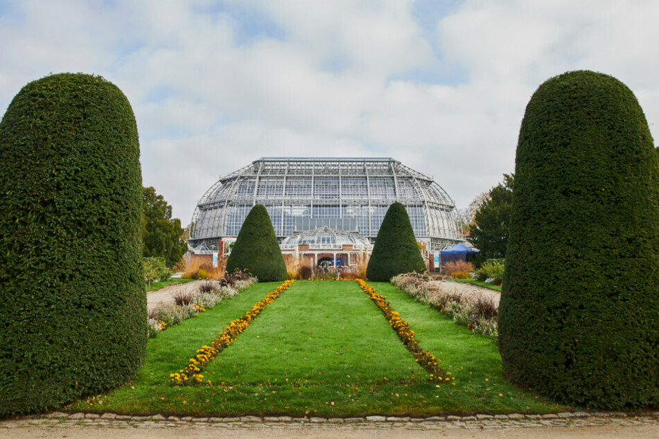 Der Botanische Garten öffnet doch noch nicht am Montag.