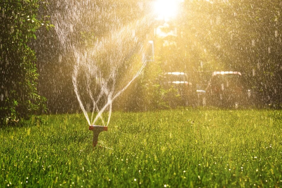 10 Tipps gegen Trockenheit im Garten: So übersteht er den Sommer