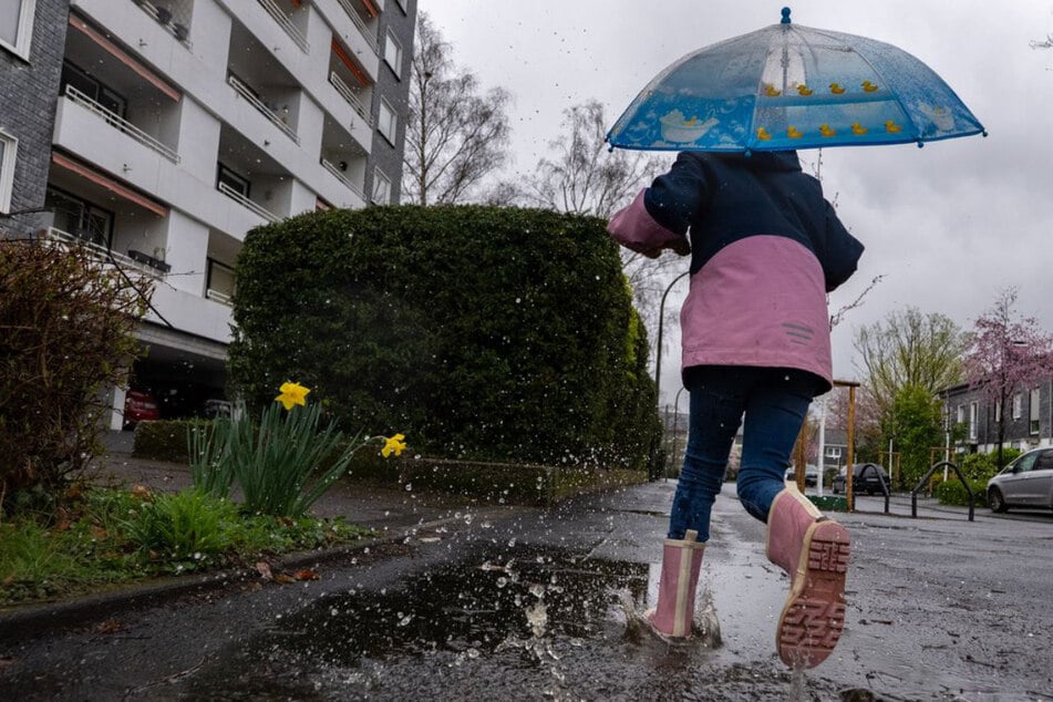Nasskaltes Wetter zum Wochenstart, doch es gibt einen Lichtblick