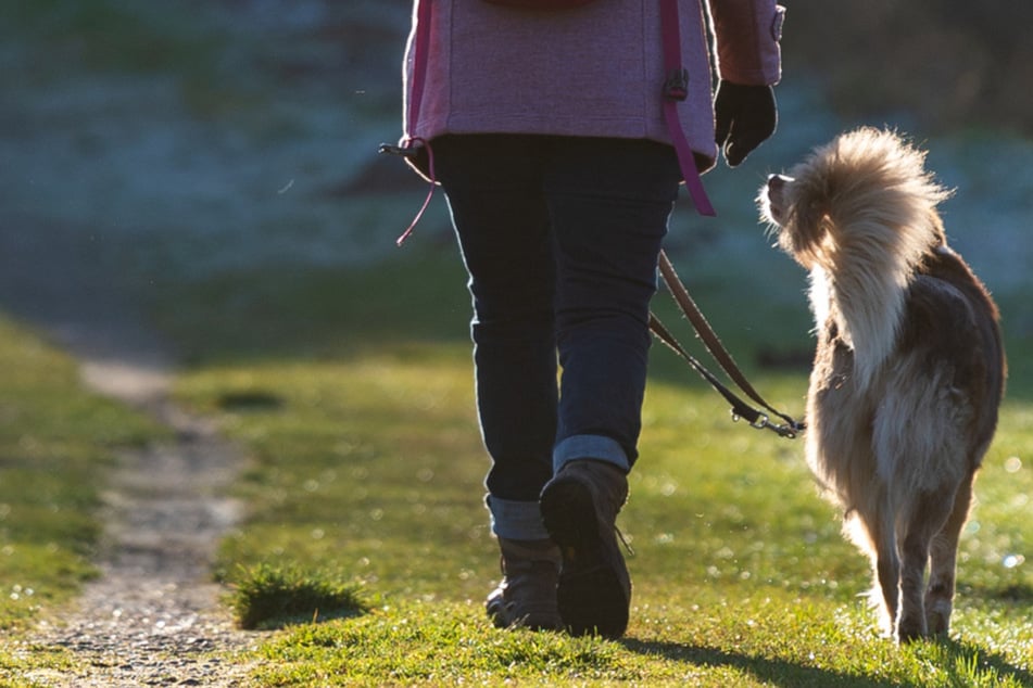 Betrunkener quält den eigenen Hund vor den Augen der Polizei!