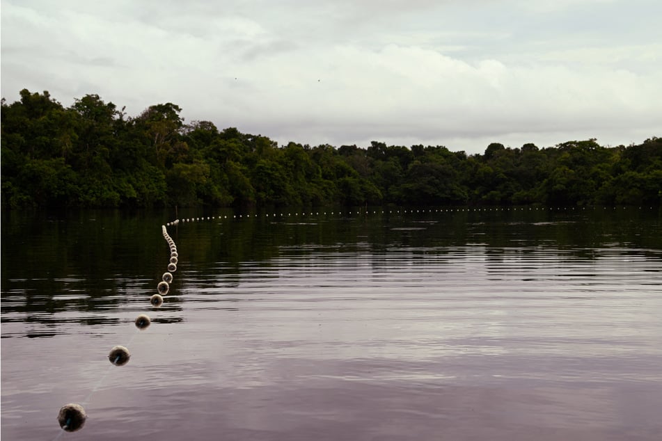 Dolphins washed up dead by the dozens on Lake Tefe in 2023, sparking concerns over the impact of climate change.