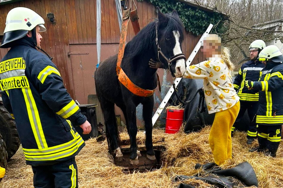 Die Feuerwehr schaffte das glücklicherweise. Die Besitzerin war die ganze Zeit dabei und beruhigte das Tier, wie es schien.