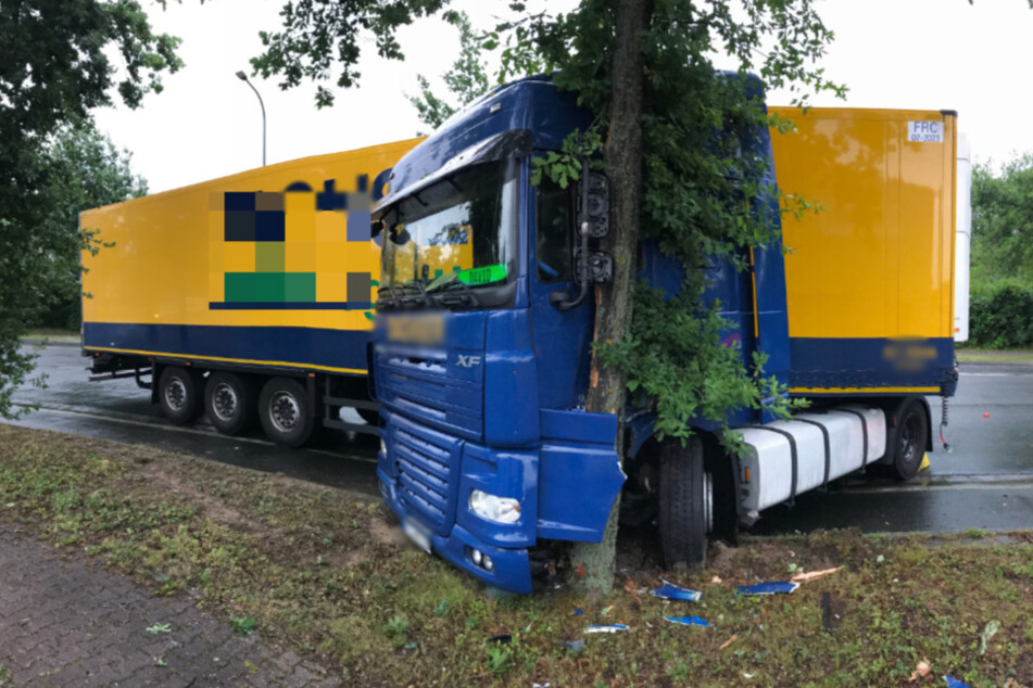 Das Führerhäuschen hängt schwer beschädigt an einem Baum.