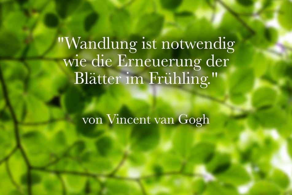 Vincent van Gogh philosophierte: "Wandlung ist notwendig wie die Erneuerung der Blätter im Frühling."