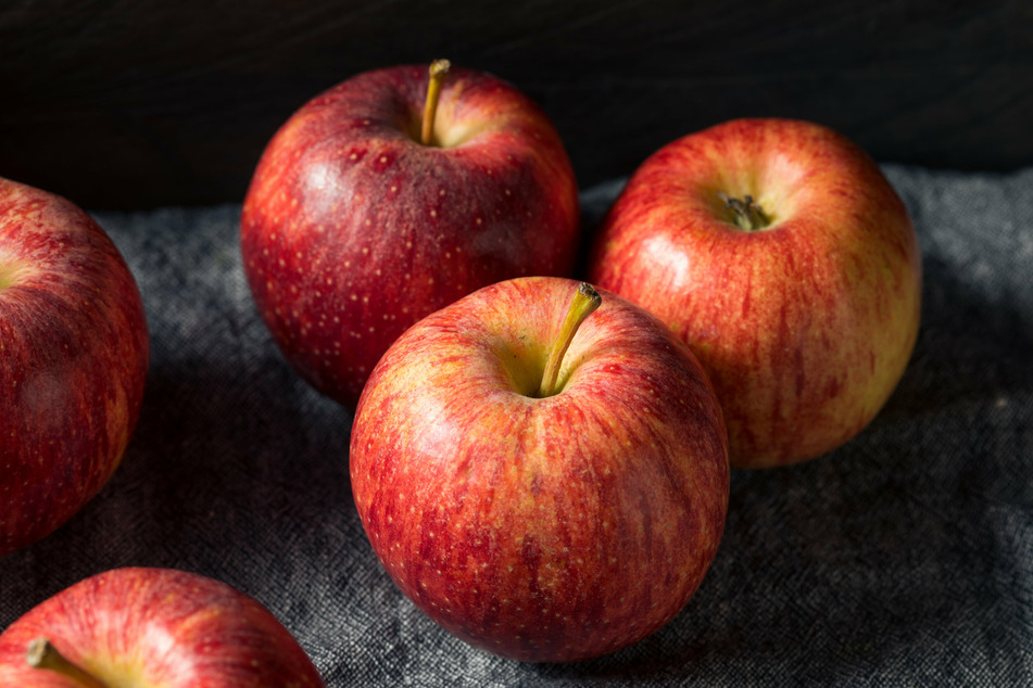 Apples add a nice tart note to an otherwise heavy sandwich.