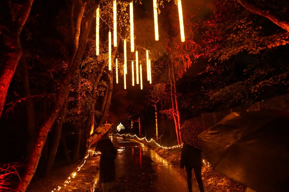 Der beleuchtete Rundweg weist den Gästen den Weg und sorgt dafür, dass empfindliche Flächen nicht aus Versehen betreten werden.
