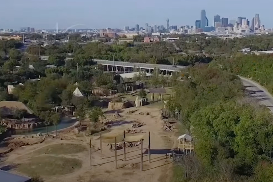 Mehr als 2000 Tiere auf knapp 40 Hektar im Dallas-Zoo. Dazu kommen knapp 1100 Angestellte und Freiwillige.