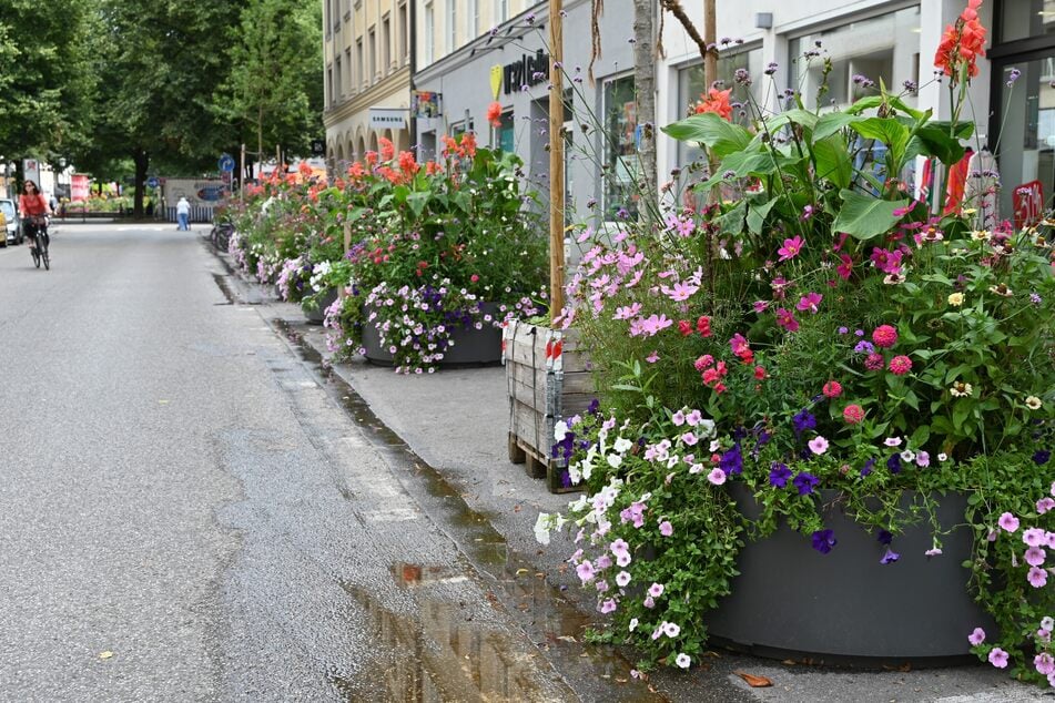 Vor der Einrichtung einer Fußgängerzone in der Weißenburger Straße sind auf ehemaligen Parkplätzen bereits Hochbeete aufgebaut.