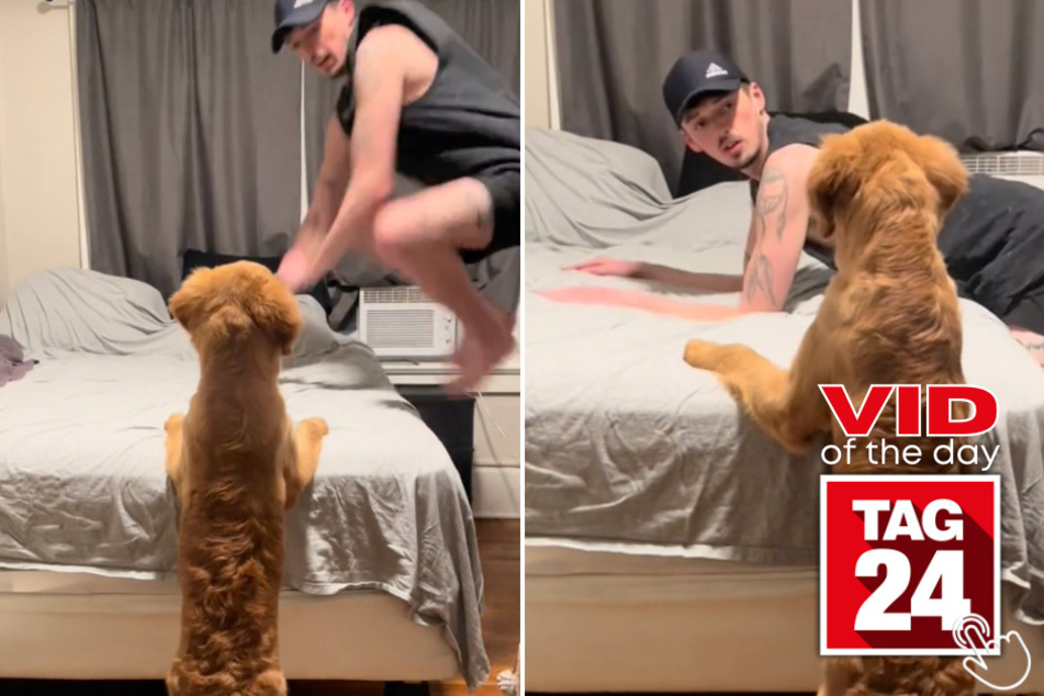 Today's Viral Video of the Day features a pup who finally learned how to jump up on the bed by himself!