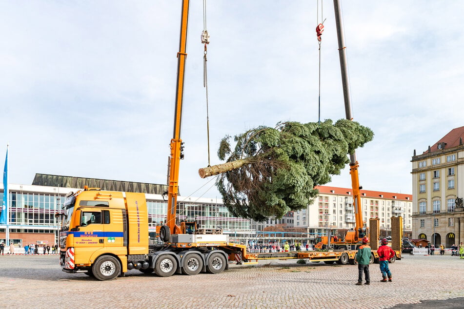 Der Baum muss für Kran- und Schwerlasttransport zugänglich sein.