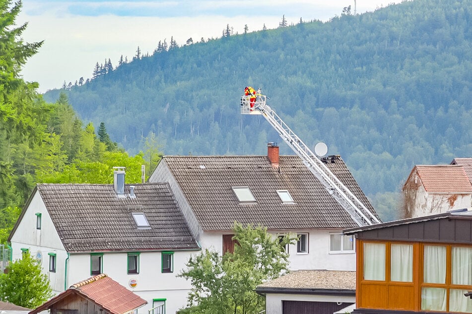 Hilfe aus der Luft: Die Feuerwehr tat ihr Möglichstes, um den Flammen Herr zu werden.