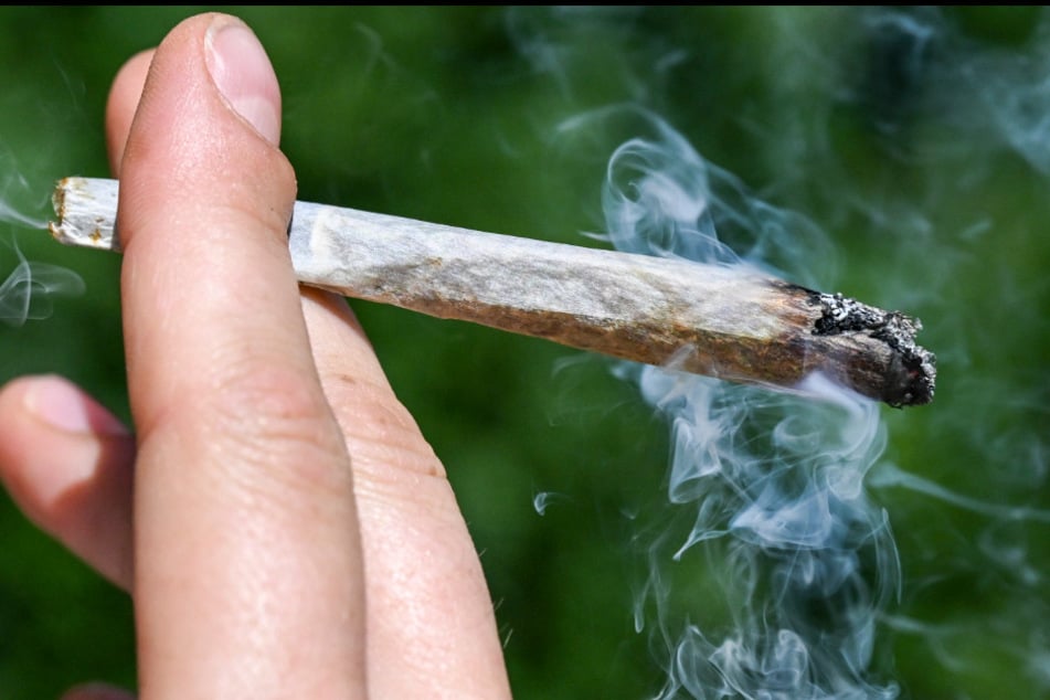 Zugriff im Kampf gegen Drogen: Ermittler ziehen tonnenweise Cannabis aus dem Verkehr
