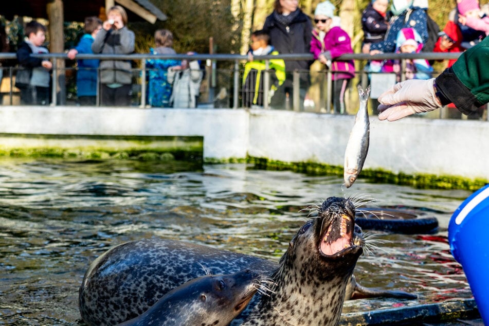 Tierpark wieder offen: Vormittags so viele Besucher wie sonst an einem ganzen Tag!