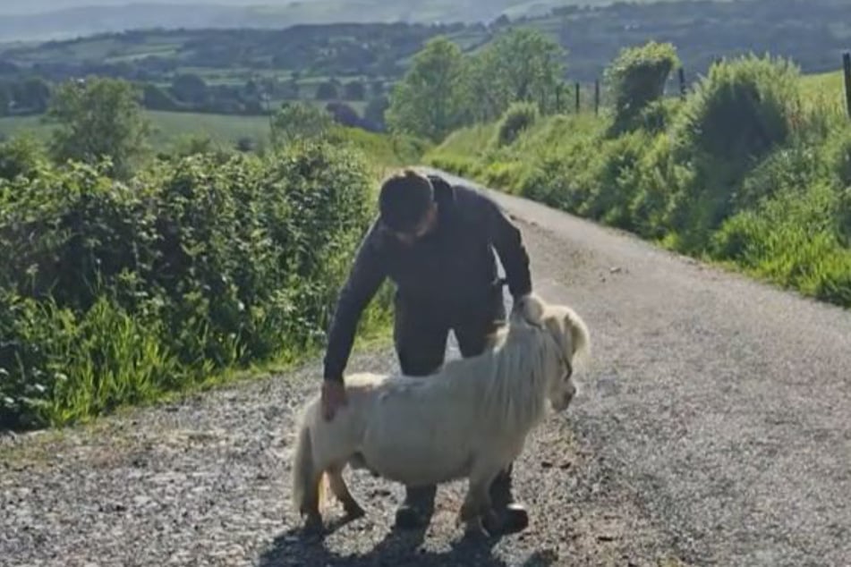 Der Besitzer nahm sein kleines Pony dankend in Empfang.