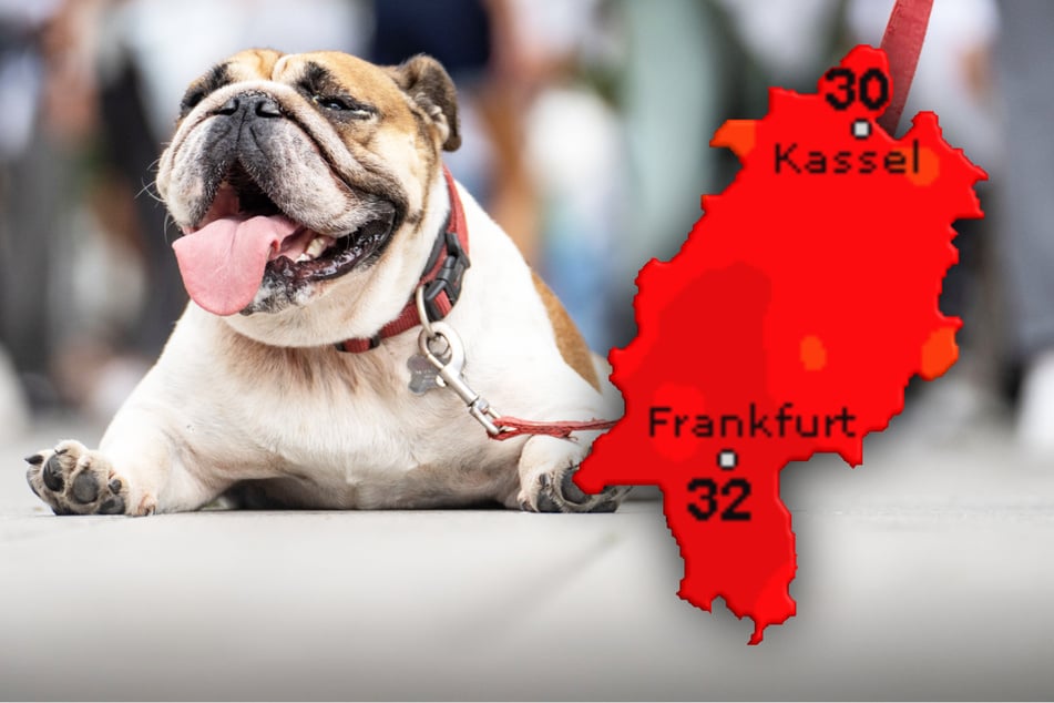 Das Wetter an Pfingsten kann sich sehen lassen. Es wird richtig warm in Frankfurt und dem Rest von Hessen.