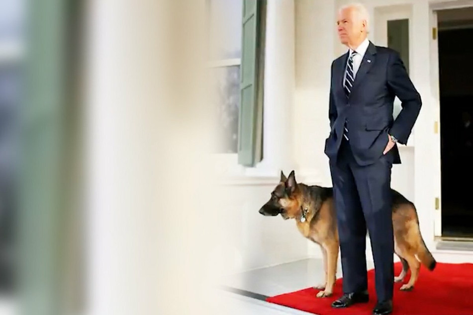 Joe Biden poses with one of his German shepherds.