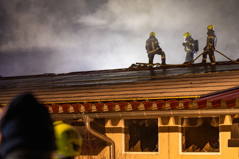 Feuerdrama im Schweinestall: Hunderte Tiere sterben bei Großbrand