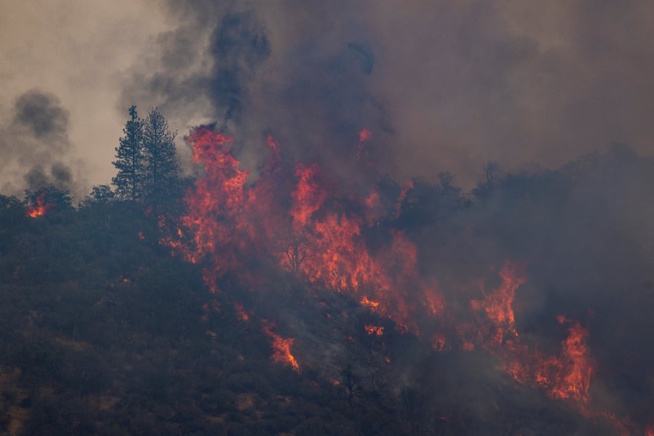 Flames make an upslope run at the McKinney fire in the Klamath National Forest near Yreka, California.