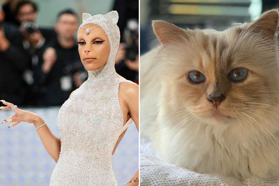 Doja Cat paid tribute to Karl Lagerfeld's cat Choupette (r) with her Met Gala look.