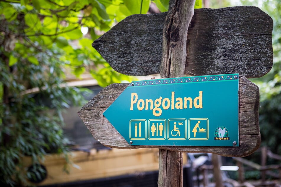 Das Gelände gehört zu den beliebtesten Arealen im Leipziger Zoo.