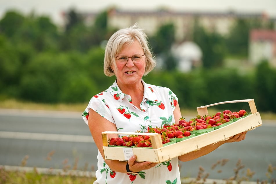 "Erdbeerbäuerin" Claudia Funck (54): "Der Ertrag ist super, besser als im vergangenen Jahr."