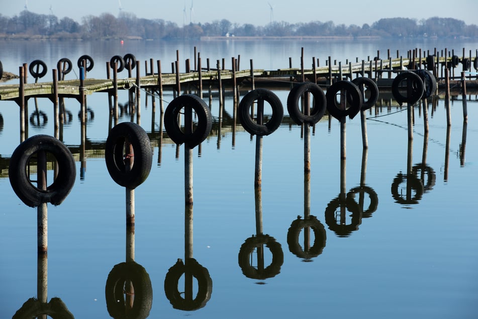 Auch im niedersächsischen Dümmer See wurde der Stoff nachgewiesen.