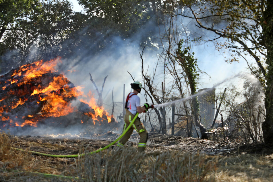 Nach bisherigen Erkenntnissen haben etwa 2,5 Hektar eines abgeernteten Feldes aus ungeklärter Ursache Feuer gefangen.