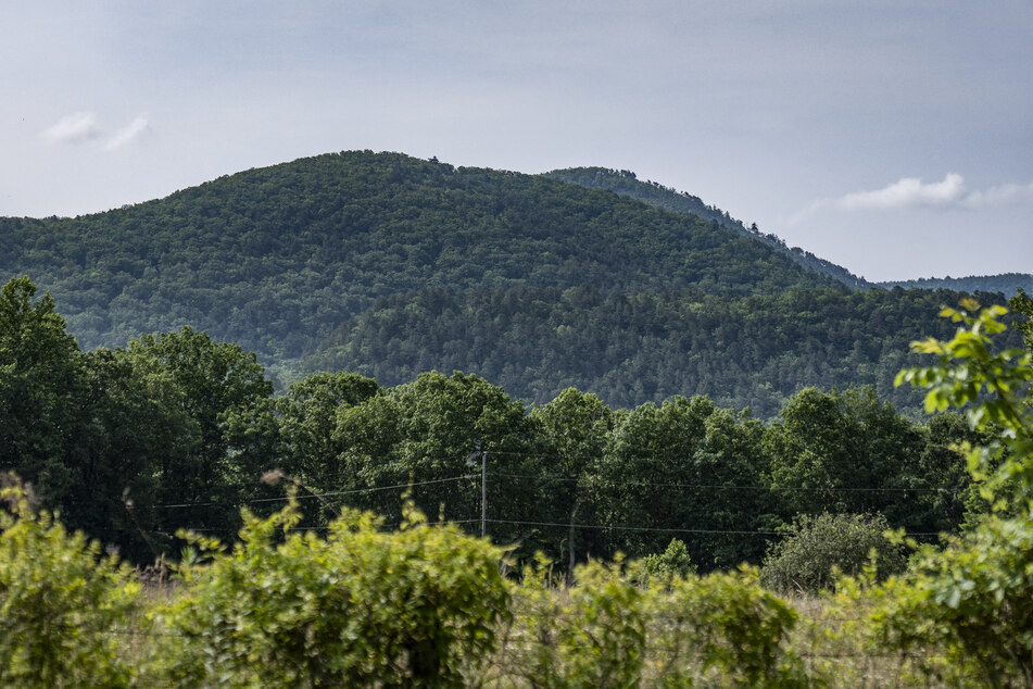 A civilian Cessna 560 Citation V plane crashed near the Virginia town of Montebello on Sunday, killing all four people onboard.