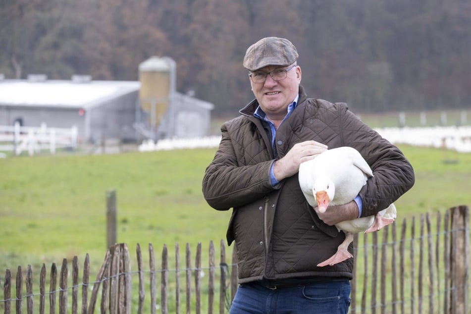 Lorenz Eskildsen (61) ist mit seinem gleichnamigen Unternehmen im Landkreis Leipzig Sachsens größter Geflügelzüchter. Er fordert nach der erneuten Infektionswelle die Zulassung der Vogelgrippe-Impfung in Deutschland.