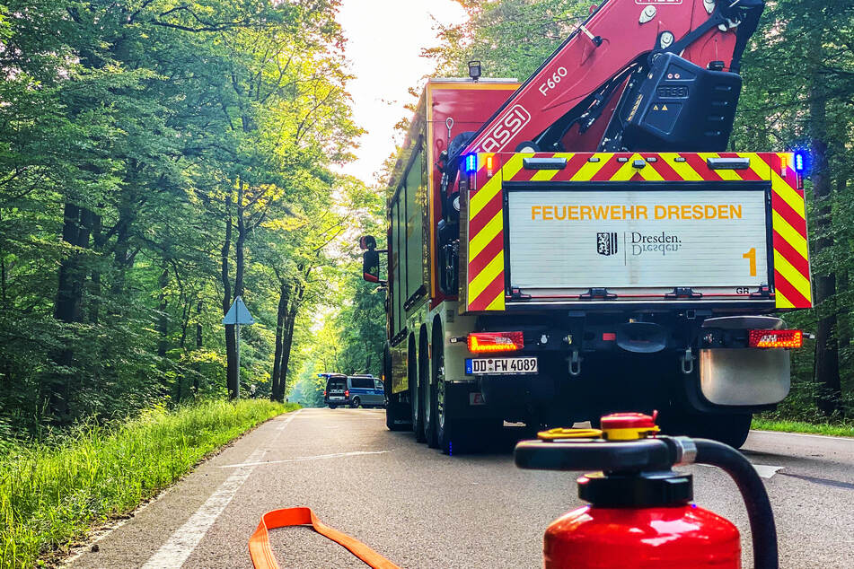 Die Feuerwehr musste am Nesselgrundweg etwa 100 Quadratmeter Waldbrand bekämpfen.