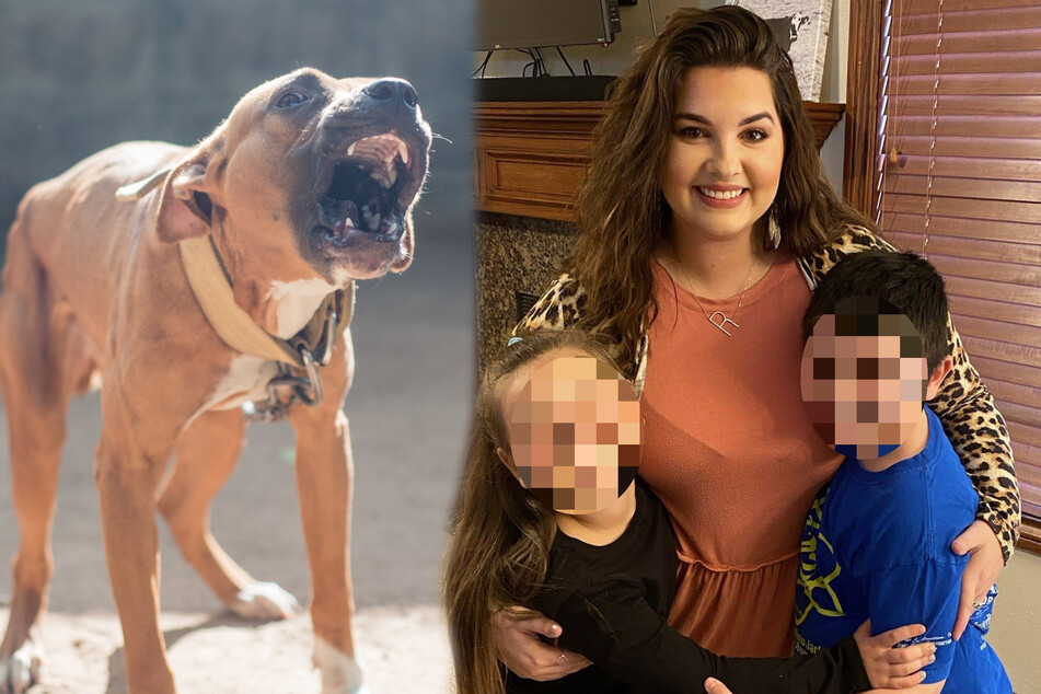 Mutter von zwei kleinen Kindern passt auf Hunde des Nachbarn auf: Jetzt ist sie tot