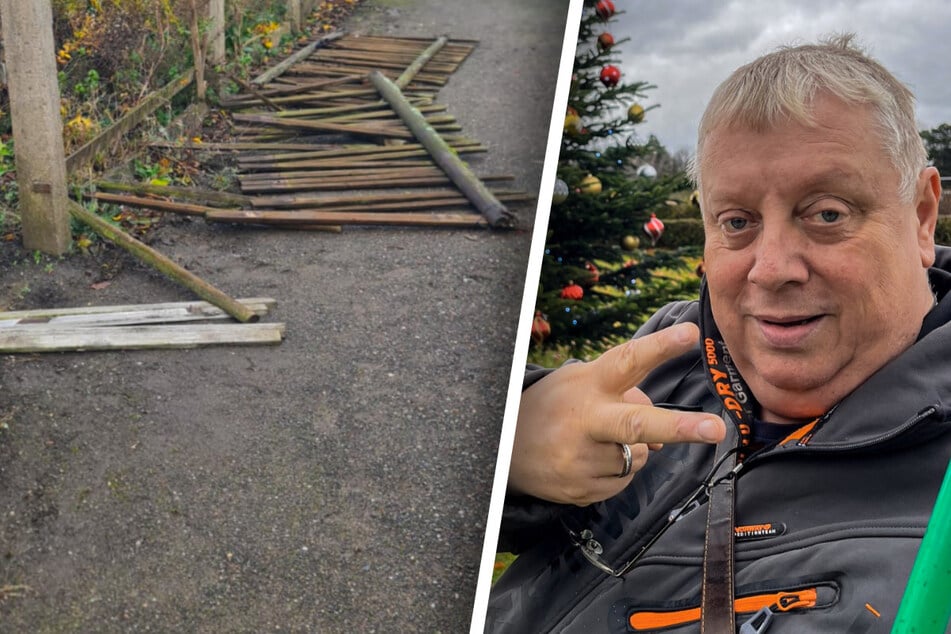 Vandalismus bei sächsischem Gartensheriff: Täter so jung, dass sie nicht schuldig sind