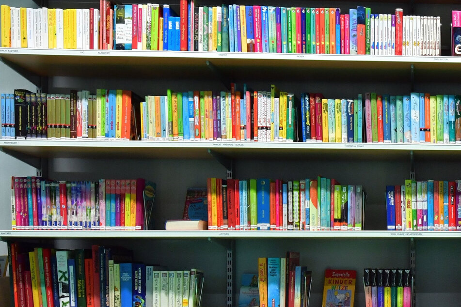 Das traditionelle Ordnungssystem hilft Nutzern, ihre Bücher schnell zu finden (Symbolbild).