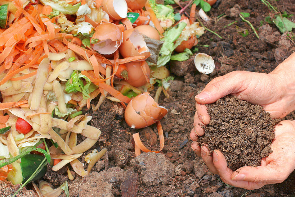 You start with the leftover scraps from your kitchen or meal, and you end up with soil!