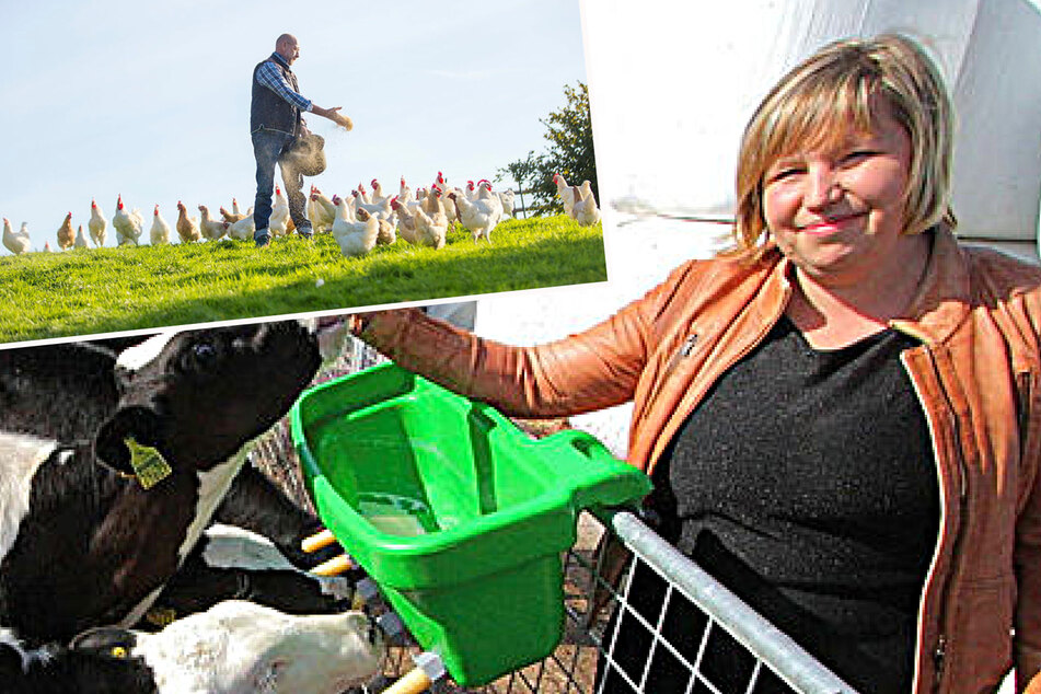 Zwei Bauern erklären: So unterschiedlich funktioniert Landwirtschaft in Sachsen