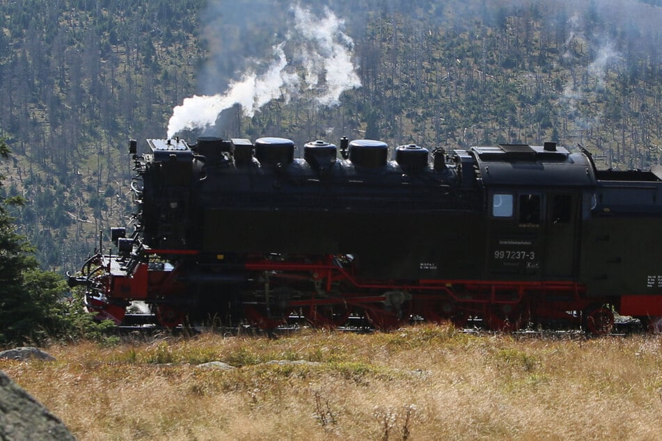 Trotz vieler Fahrgäste und gutem Umsatz: Schmalspurbahnen im Harz kämpfen mit hohen Kosten