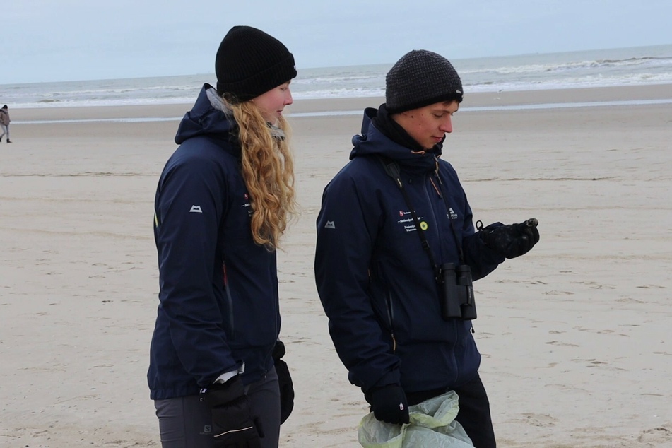 Johanna Seefeld und Timon Hülsmann von der Naturschutzorganisation "Der Mellumrat e.V." haben die Seepferdchen am Strand gefunden.