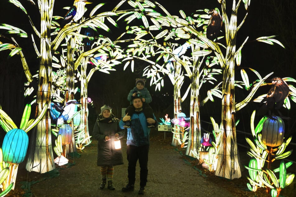 Die Magischen Lichterwelten sind ein faszinierender Ausflug für die ganze Familie.