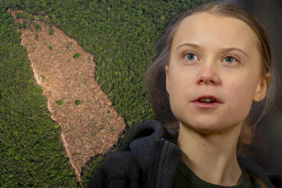 Wodurch entstehen Pandemien? Greta Thunberg hat die Antwort!