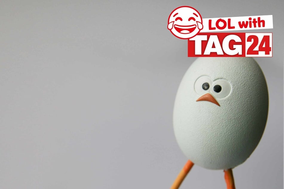 Joke of the Night for November 23, 2025: An egg-cellent funny