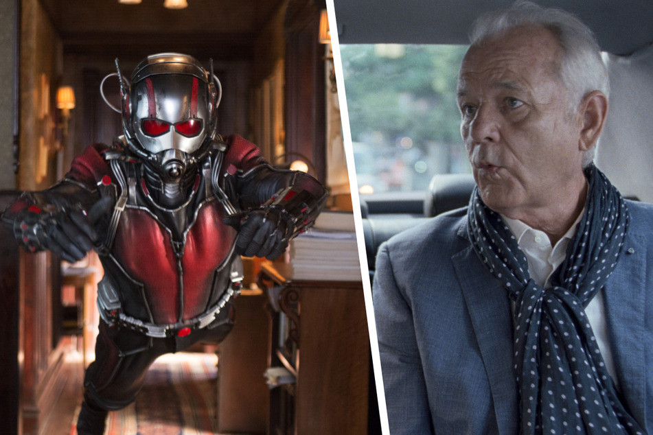 Spielt Bill Murray (71, r.) im nächsten Ant-Man-Teil mit?