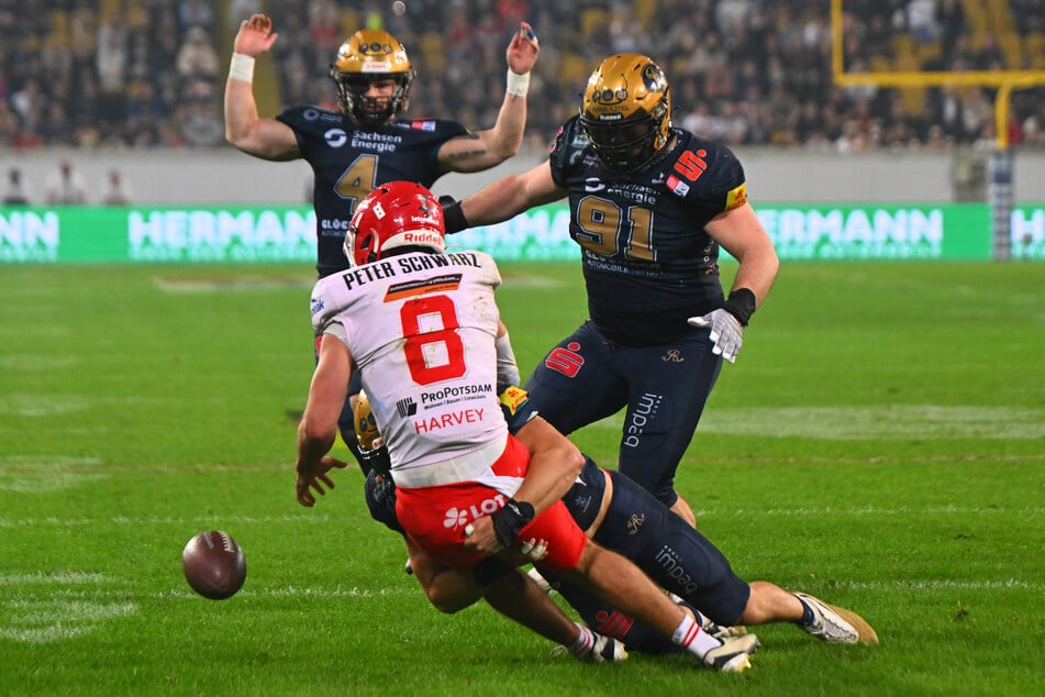 Perfekt aufs Endspiel vorbereitet. Hier sorgte Elian Canet für den Quarterback-Sack, Potsdams Hugh Harvey ließ sogar den Ball fallen, den Logan Mobelini (h.) kurz darauf sicherte.